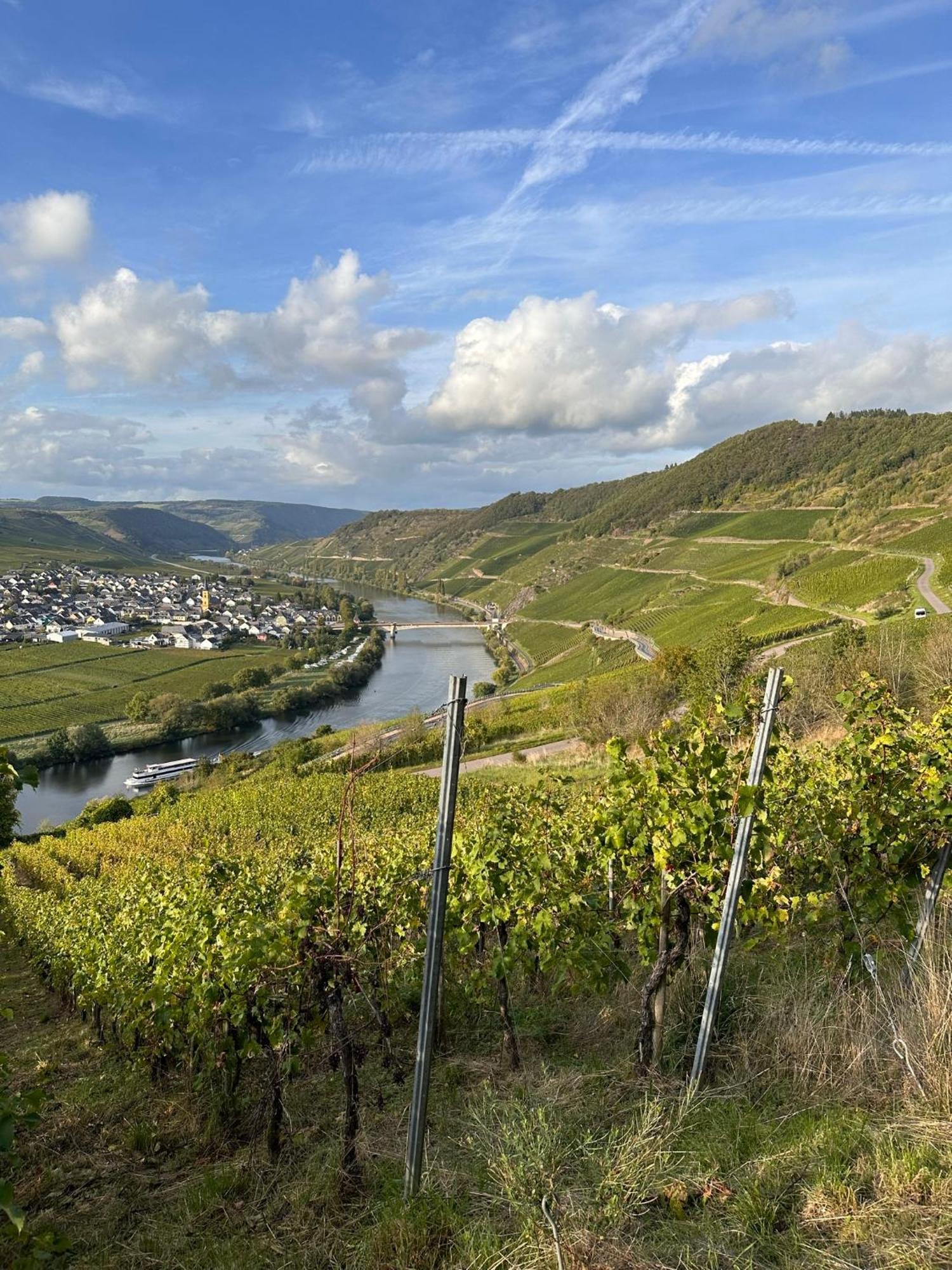 Hotel Krone Riesling Trittenheim Luaran gambar